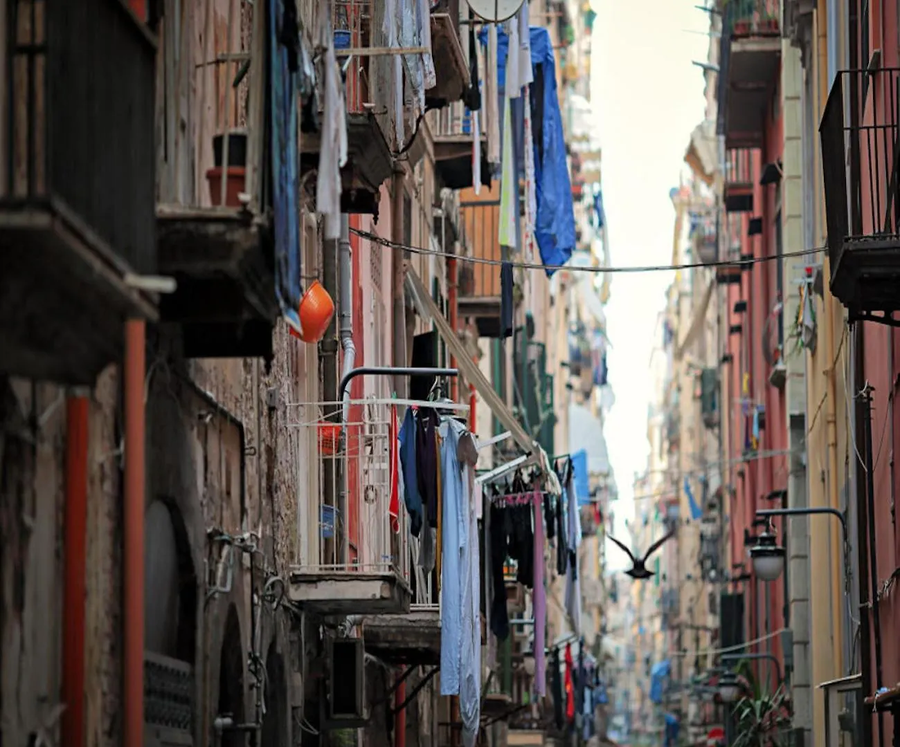 Charme Napoletano Quartieri Spagnoli Naples 0*,